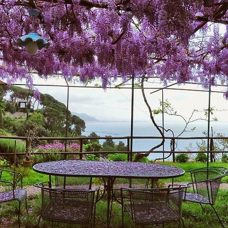 Villa Maria Antonietta Vietri Zewnętrze zdjęcie